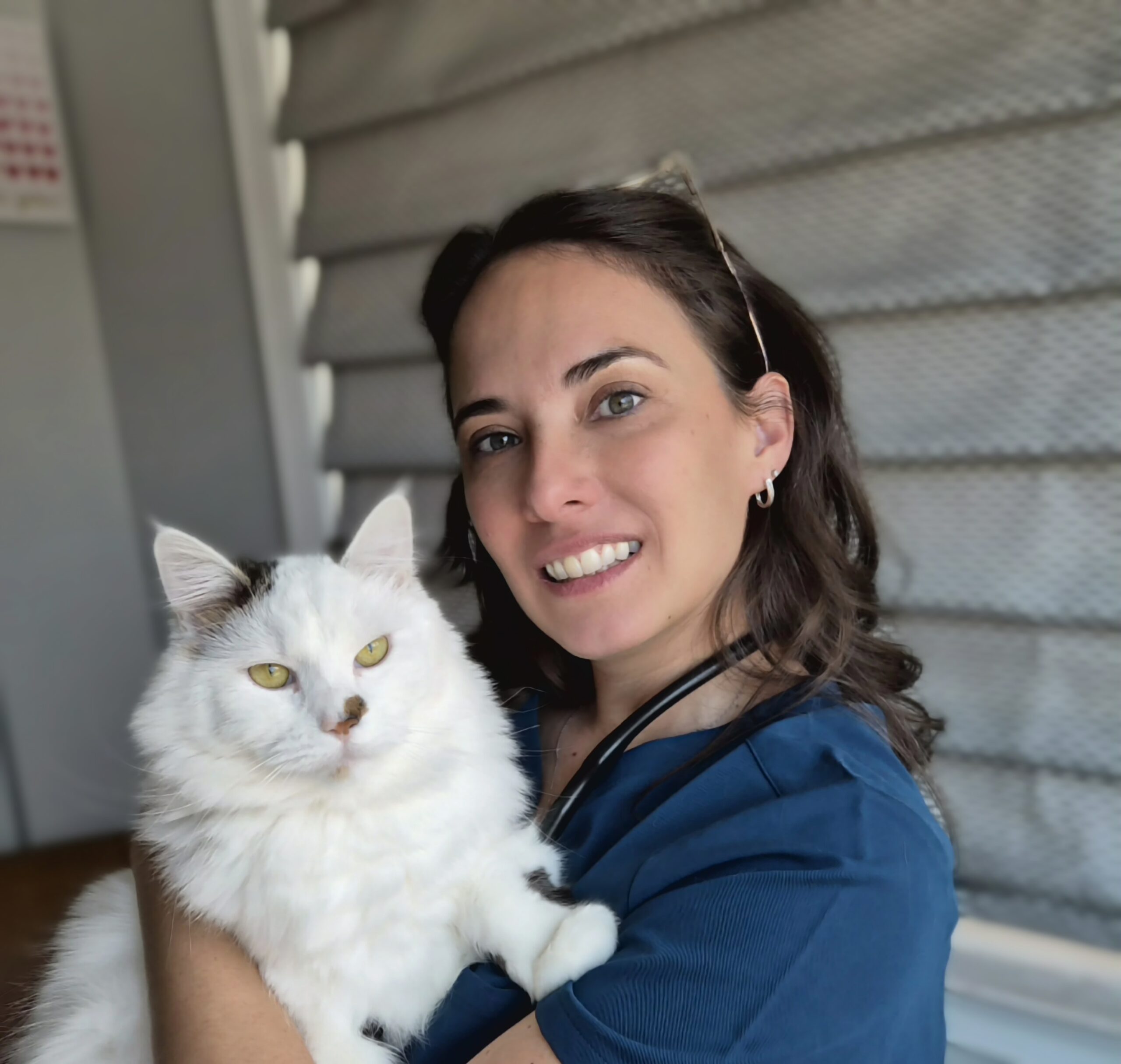 Monique Scenci VMD Pet Urgent Cares Veterinary Hospital in Exton Pa