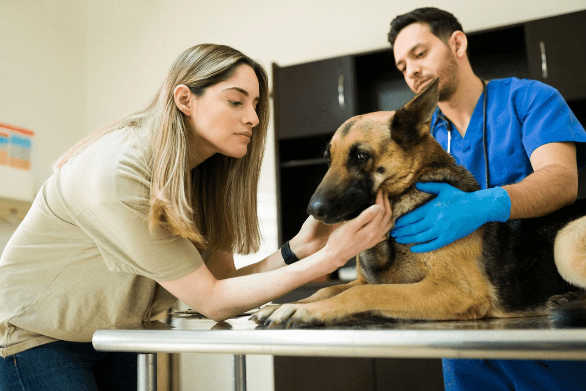 Pet Wellness