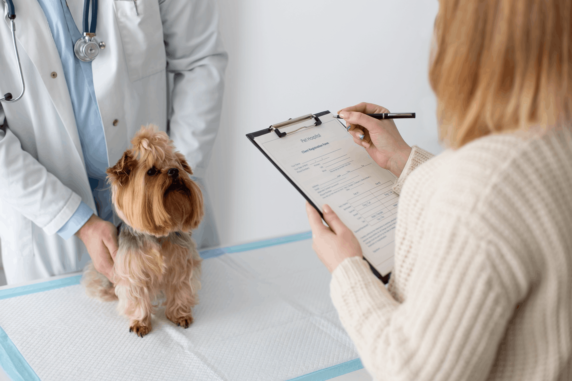 Dog Wellness