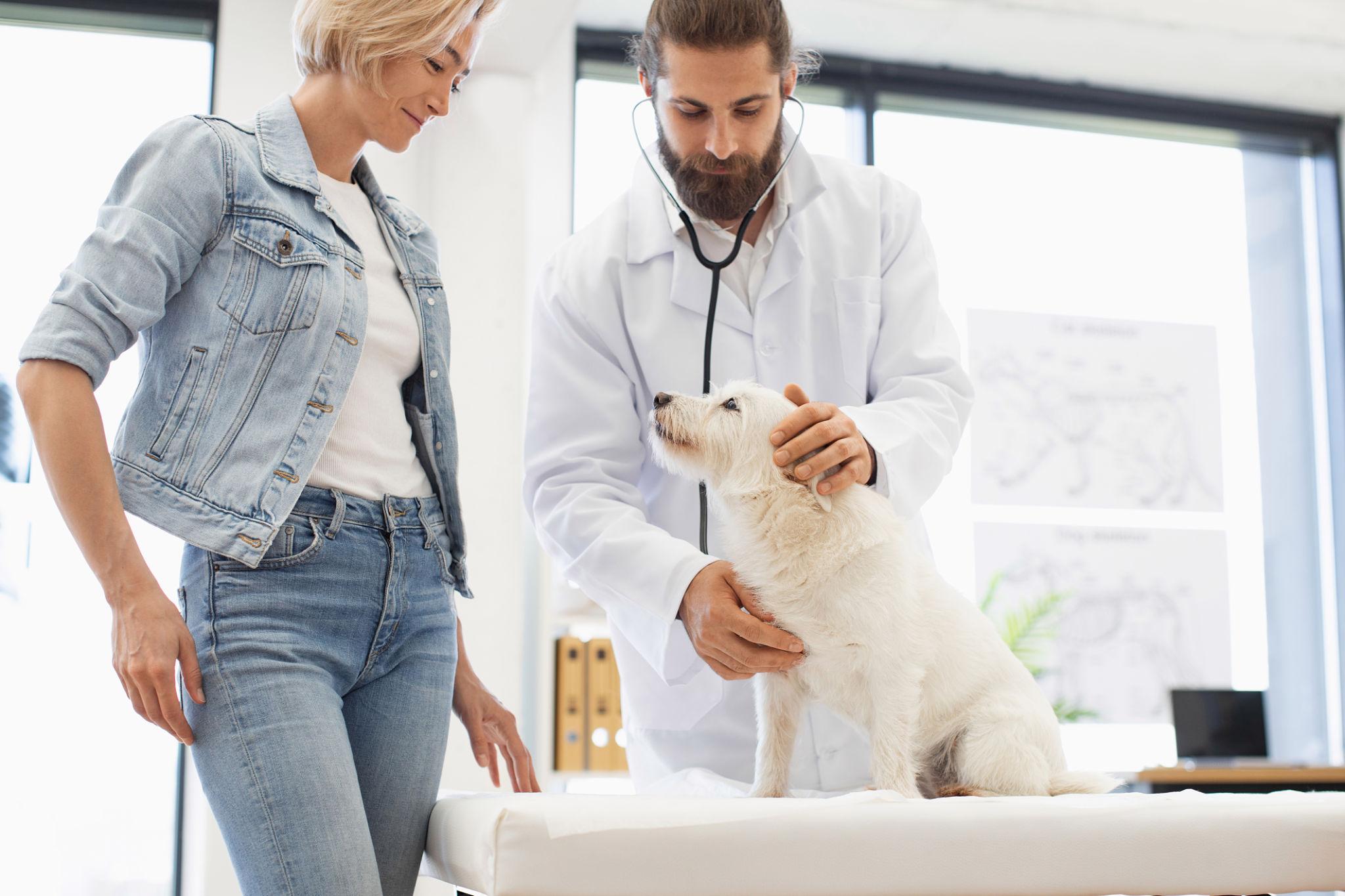 Pet Wellness