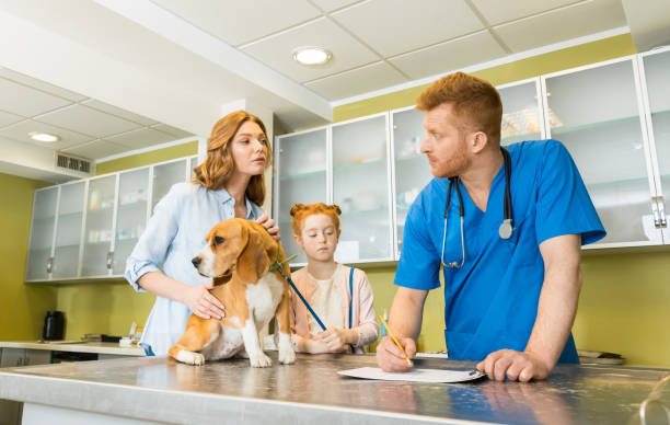 Pet Urgent Cares | Urgent Care vs. Primary Care Vet: Which Does Your Pet Need? Urgent Care